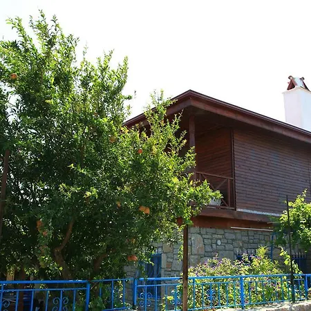 Halise Homestay Kizlan