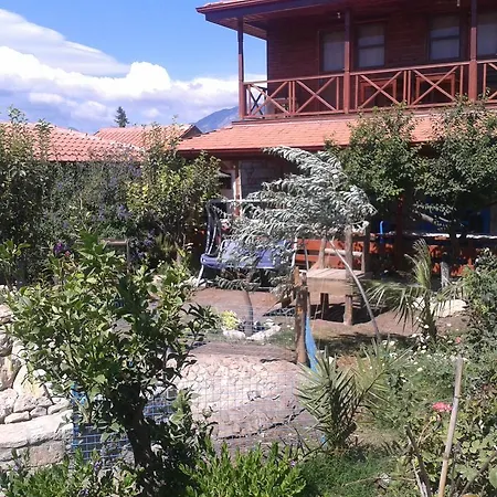 Homestay Halise