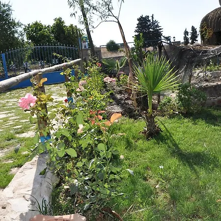 Halise Homestay Kizlan